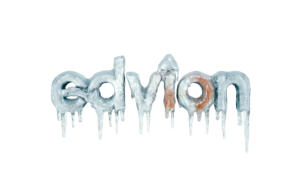 edvion.online